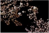 WallClassics - Poster Glanzend – Roze Bloesembloemetjes aan Tak in de Nacht - 90x60 cm Foto op Posterpapier met Glanzende Afwerking