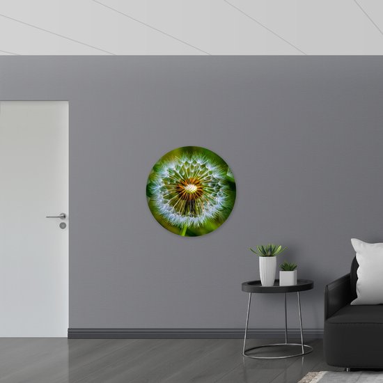 Dibond Muurcirkel - Paardenbloem met Wazige Groene Achtergrond - 80x80 cm Foto op Aluminium Muurcirkel (met ophangsysteem)