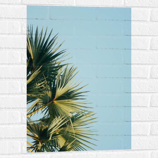 WallClassics - Muursticker - Palmbomen met Blauwe Lucht - 50x75 cm Foto op Muursticker