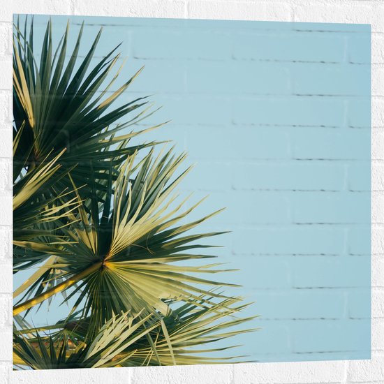 WallClassics - Muursticker - Palmbomen met Blauwe Lucht - 80x80 cm Foto op Muursticker