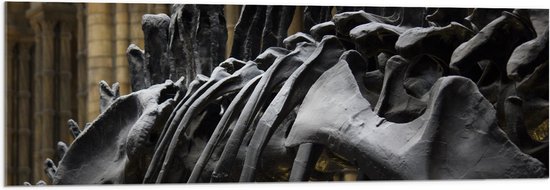 WallClassics - Acrylglas - Zwart Skelet van een Dino - 120x40 cm Foto op Acrylglas (Met Ophangsysteem)