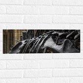 WallClassics - Muursticker - Zwart Skelet van een Dino - 60x20 cm Foto op Muursticker