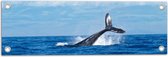WallClassics - Tuinposter – Walvis Staart boven het Zee Oppervlak - 60x20 cm Foto op Tuinposter  (wanddecoratie voor buiten en binnen)