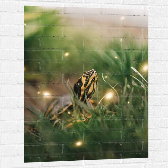 WallClassics - Muursticker - Zwart met Gele Slang tussen het Groene Gras - 75x100 cm Foto op Muursticker