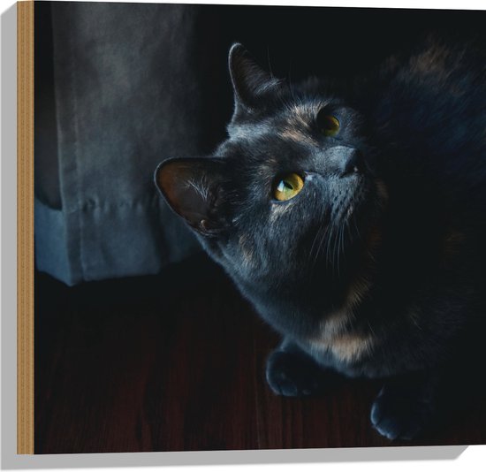 WallClassics - Hout - Zwarte Kat - 50x50 cm - 12 mm dik - Foto op Hout (Met Ophangsysteem)