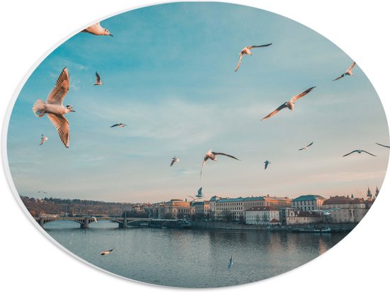 WallClassics - Plaque Ovale en Mousse PVC - Vogels Volants au-dessus d'une Rivière à Prague - 28x21 cm Photo sur Ovale (Avec Système d'accrochage)