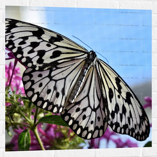 WallClassics - Muursticker - Zwart met Witte Vlinder op Roze Bloemen - 80x80 cm Foto op Muursticker