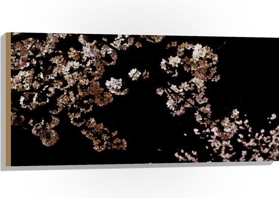 WallClassics - Hout - Wit met Roze Bloementjes met Zwarte Achtergrond - 100x50 cm - 12 mm dik - Foto op Hout (Met Ophangsysteem)