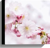 WallClassics - Canvas  - Roze Cherry Bloemen - 30x30 cm Foto op Canvas Schilderij (Wanddecoratie op Canvas)