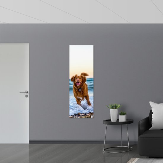 WallClassics - Verre Acrylique - Chien Heureux sur la Plage - 50x150 cm Photo sur Verre Acrylique (Avec Système de Suspension)