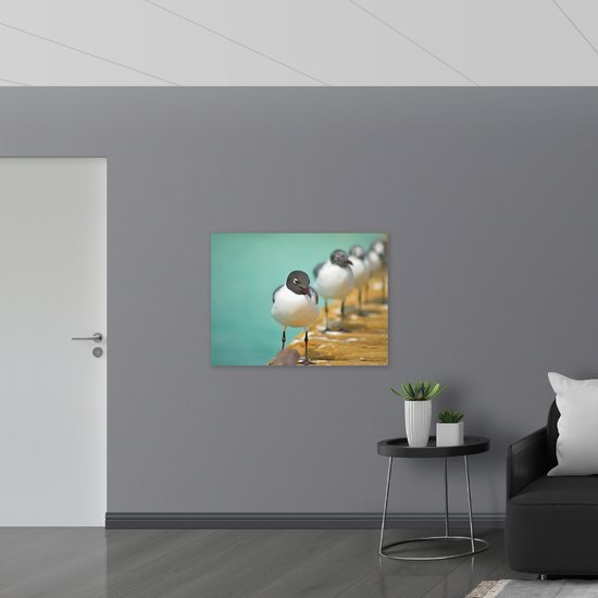 WallClassics - Poster Glanzend – Vogels op de Steiger - 100x75 cm Foto op Posterpapier met Glanzende Afwerking