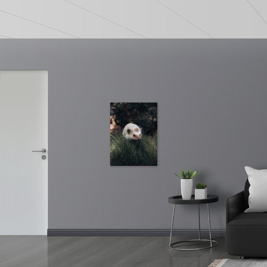 WallClassics - Dibond - Witte Egel in het Gras - 60x80 cm Foto op Aluminium (Wanddecoratie van metaal)