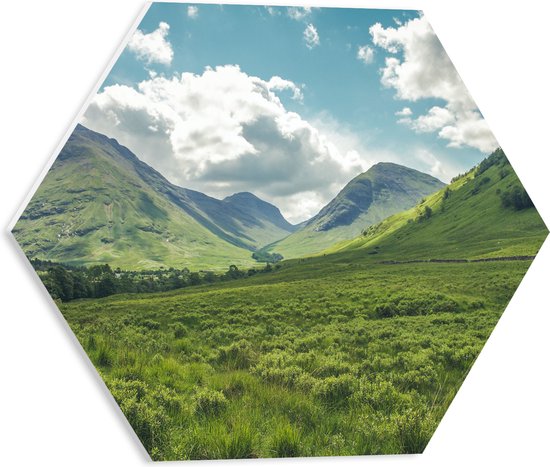 WallClassics - PVC Schuimplaat Hexagon  - Bergachtig Graslandschap - 40x34.8 cm Foto op Hexagon (Met Ophangsysteem)