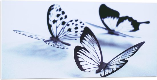 WallClassics - Acrylglas - Zwarte Vlinders op Witte Achtergrond - 100x50 cm Foto op Acrylglas (Met Ophangsysteem)