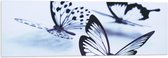WallClassics - Acrylglas - Zwarte Vlinders op Witte Achtergrond - 120x40 cm Foto op Acrylglas (Met Ophangsysteem)