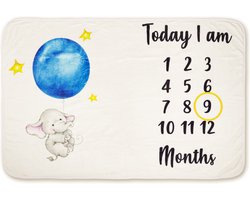 Mijlpaaldeken Ballon - mijlpaalkaart - milestone - kraamcadeau - babykleed - baby dekentje - fleece - kraamcadeau - baby shower - geboorte - cadeau - speelkleed - foto baby - herinnering - baby cadeau - kerstcadeau - foto herinnering - baby geschenk