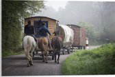 WallClassics - Acrylglas - Ouderwetse Caravan met Paard en Wagen - 60x40 cm Foto op Acrylglas (Met Ophangsysteem)