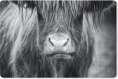 Muismat - Mousepad - Schotse Hooglander - Haar - Dieren - 27x18 cm - Muismatten