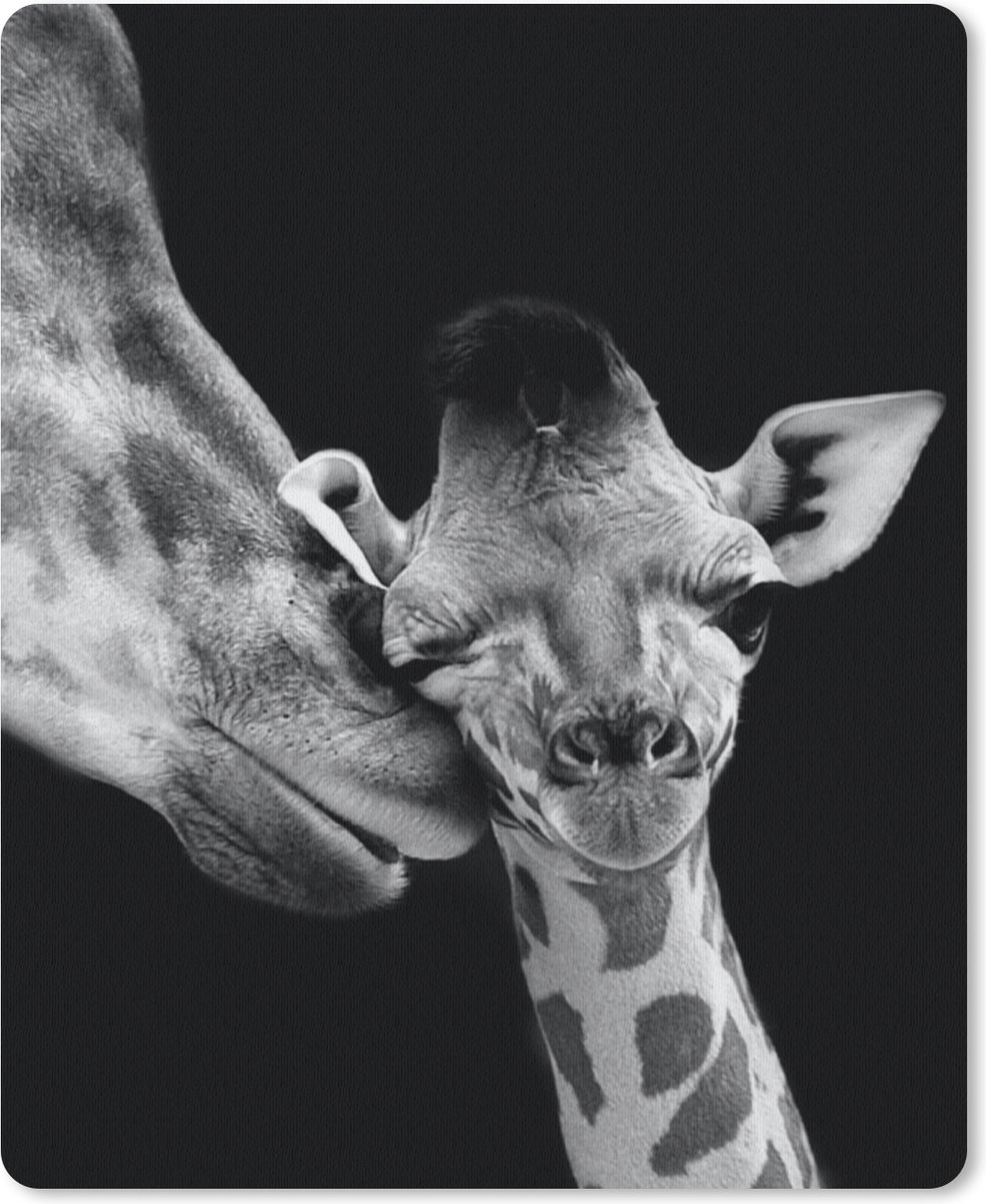 Muismat 19x23 cm - Mousepad Dieren - Zwart - Wit - Giraffe - Portret - Muismatten