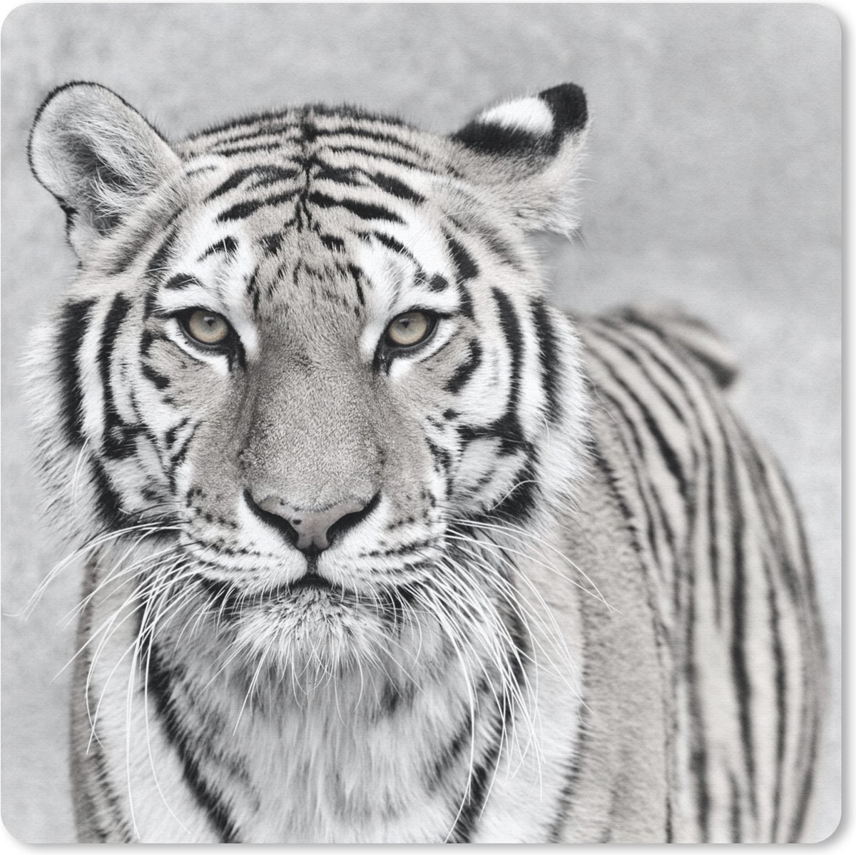 Muismat 30x30 cm - Mousepad Tijger - Natuur - Zwart - Wit - Muismatten