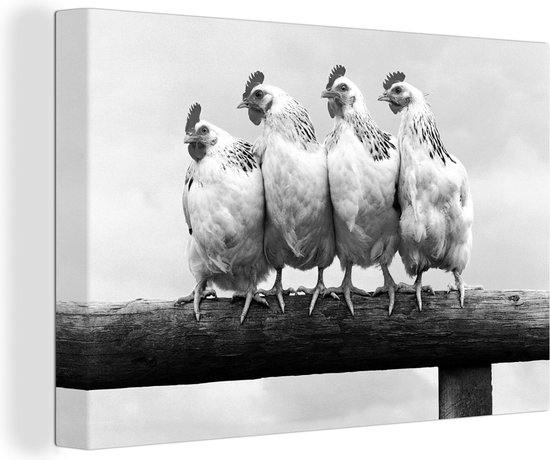 Canvas Schilderij Vier Kippen op stok - zwart wit - 30x20 cm - Wanddecoratie