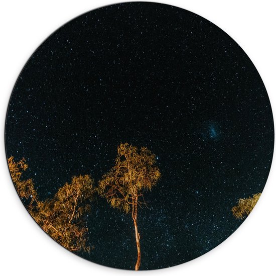 WallClassics - Dibond Muurcirkel - Bomen in de Nacht onder Sterrenhemel - 70x70 cm Foto op Aluminium Muurcirkel (met ophangsysteem)