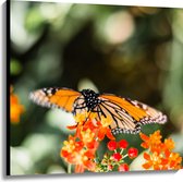 WallClassics - Canvas  - Oranje met Zwarte Vlinder op Oranje Bloem - 100x100 cm Foto op Canvas Schilderij (Wanddecoratie op Canvas)