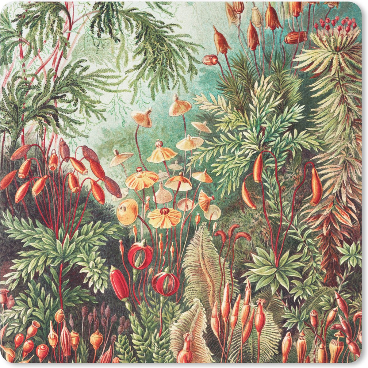 Muismat 20x20 cm - Mousepad Bloemen - Kunst - Vintage - Natuur - Botanisch - Muismatten