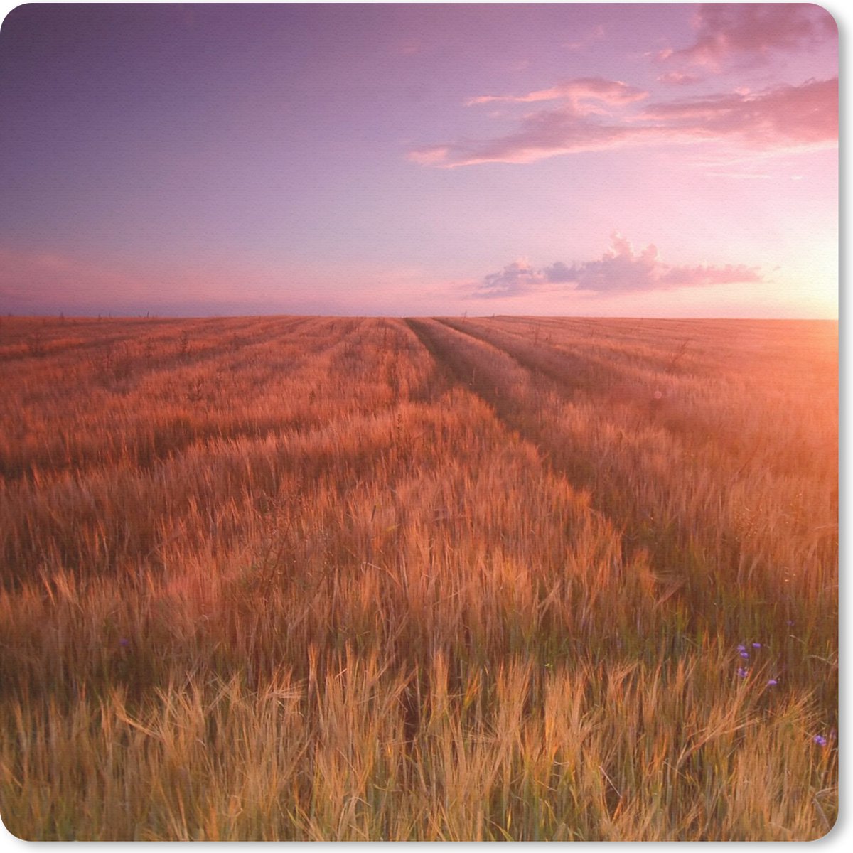 Muismat 30x30 cm - Mousepad Grasveld - Zon - Avond - Landschap - Muismatten