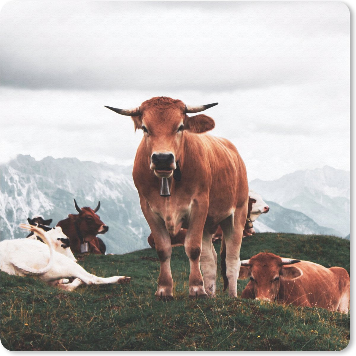 Muismat 30x30 cm - Mousepad Dieren - Koe - Berg - Muismatten