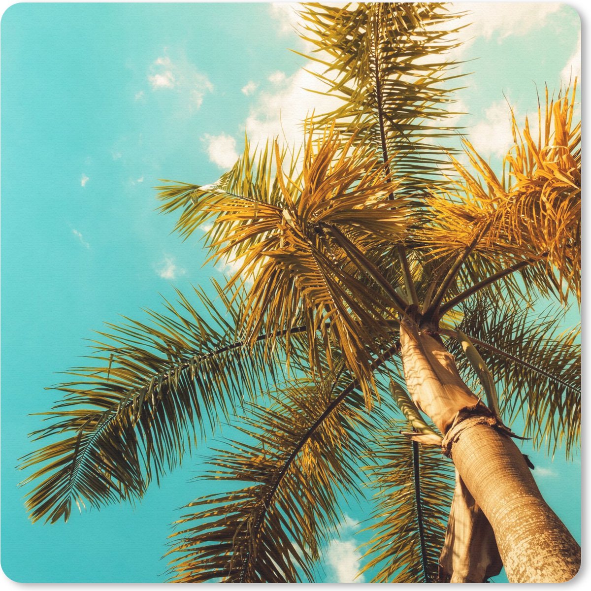 Muismat 20x20 cm - Mousepad Palm - Zomer - Tropisch - Muismatten