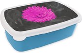 Broodtrommel Blauw - Lunchbox - Brooddoos - Bloemen - Waterverf - Roze - 18x12x6 cm - Kinderen - Jongen