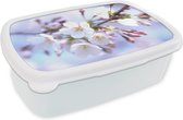 Lunch box Wit - Lunch box - Boîte à pain - Fleurs - Sakura - Branche - 18x12x6 cm - Adultes