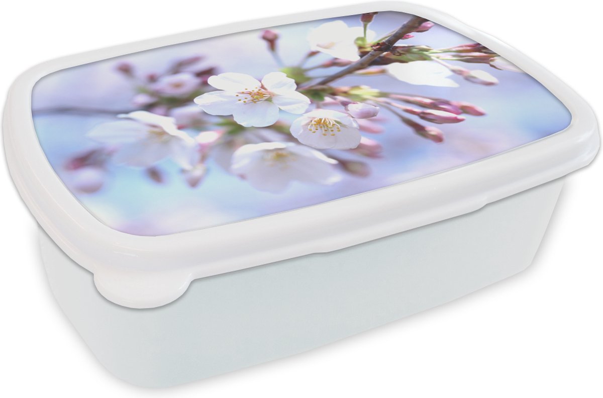 Broodtrommel Wit - Lunchbox - Brooddoos - Bloemen - Sakura - Tak - 18x12x6 cm - Volwassenen