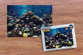 Puzzel Aquarium met tropische vissen en koralen - Legpuzzel - Puzzel 500 stukjes