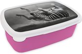 Broodtrommel Roze - Lunchbox - Brooddoos - Zebra - Dieren - Zwart - Wit - 18x12x6 cm - Kinderen - Meisje