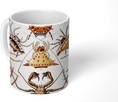Mug - Tasse à café - Rétro - Araignée - Ernst Haeckel - Araignées - Mugs - 350 ML - Tasse - Tasses à café - Tasse à thé