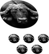 Onderzetters voor glazen - Rond - Dieren - Buffalo - Zwart - Wit - Portret - 10x10 cm - Glasonderzetters - 6 stuks