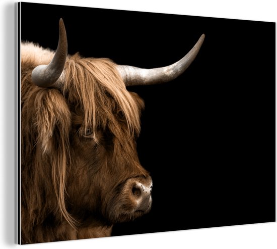 Décoration murale Métal - Peinture Aluminium - Highlander écossais - Animaux - Vache - 30x20 cm