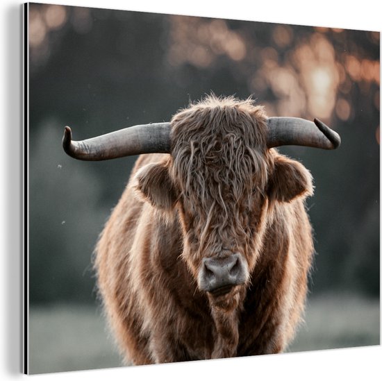 Décoration murale Métal - Peinture Aluminium Industriel - Highlander Ecossais - Vache - Nature - 40x30 cm - Dibond - Photo sur aluminium - Décoration murale industrielle - Pour le salon/chambre