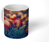 Mug - Mug à café - Décoration champêtre - Automne - Pomme - Fruit - Mugs - 350 ML - Tasse - Mugs à café - Mug à thé