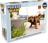 Puzzel Een puppy Teckel die op wat gras kauwt - Legpuzzel - Puzzel 1000 stukjes volwassenen