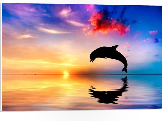 WallClassics - PVC Schuimplaat - Silhouet van Dolfijn bij Ondergaande Zon in het Water - 75x50 cm Foto op PVC Schuimplaat (Met Ophangsysteem)