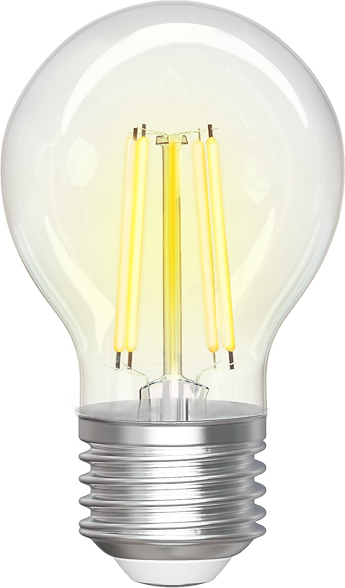 Ampoule LED Smart LED Igia Rixona Ampoule G45 4,5W Culot E27