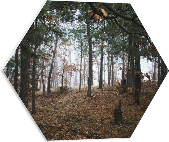 WallClassics - PVC Schuimplaat Hexagon  - Herfstbladeren tussen de Bomen in een Bos - 50x43.5 cm Foto op Hexagon (Met Ophangsysteem)