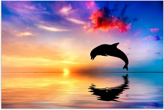 WallClassics - Poster (Mat) - Silhouet van Dolfijn bij Ondergaande Zon in het Water - 75x50 cm Foto op Posterpapier met een Matte look