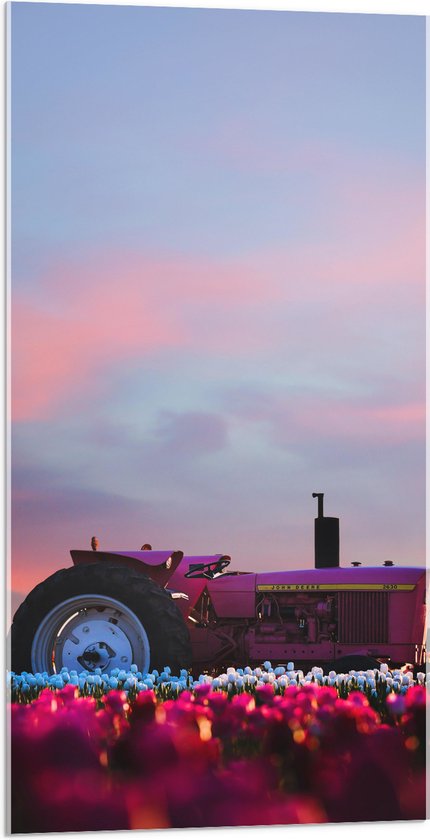 WallClassics - Acrylglas - Roze Traktor in Felkleurend Bloemenveld - 50x100 cm Foto op Acrylglas (Met Ophangsysteem)