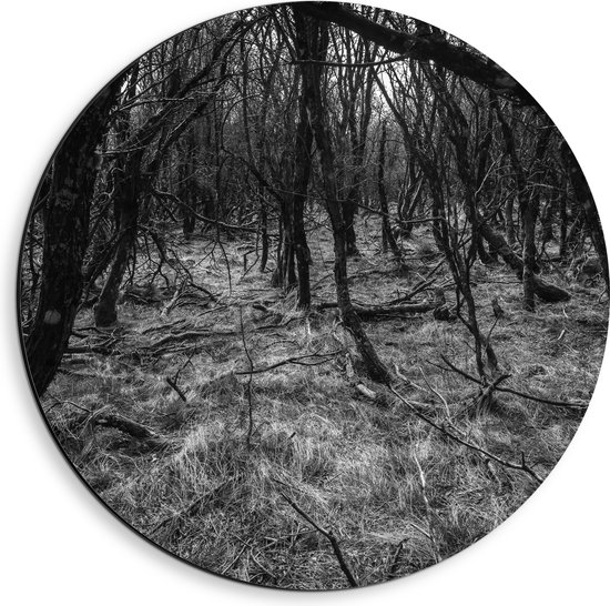 WallClassics - Dibond Muurcirkel - Takken in het Bos Zwart / Wit - 40x40 cm Foto op Aluminium Muurcirkel (met ophangsysteem)