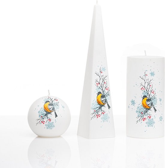 Kaarsen - Set Handgeschilderd -vogels - cadeau - sneeuwsterren