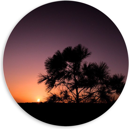 WallClassics - PVC Schuimplaat Muurcirkel - silhouet van Zonsondergang achter Boompje - 60x60 cm Foto op Muurcirkel (met ophangsysteem)